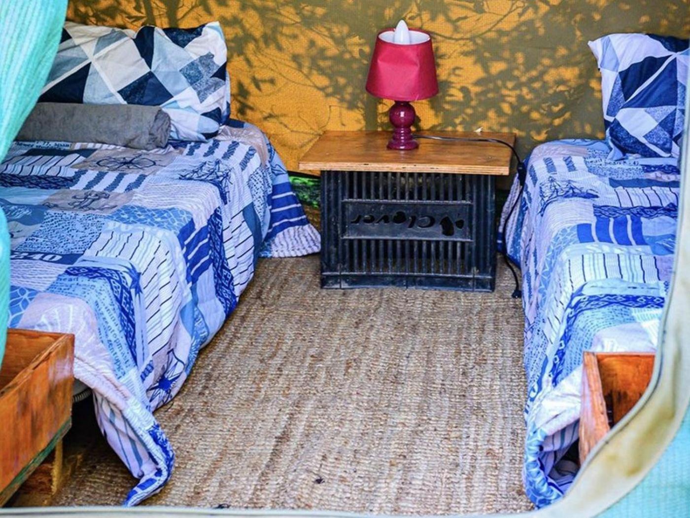 Shik Shack Backpackers Hotel Guernsey Nature Reserve Ngoại thất bức ảnh