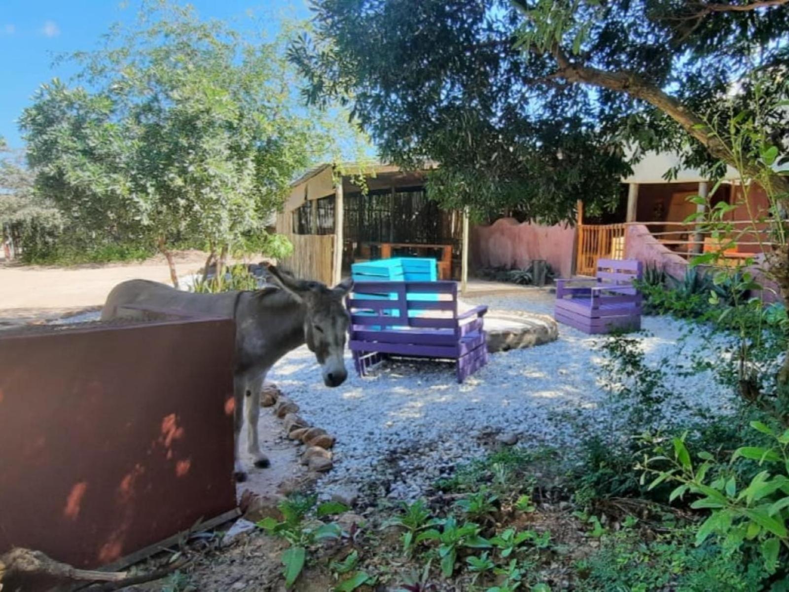 Shik Shack Backpackers Hotel Guernsey Nature Reserve Ngoại thất bức ảnh