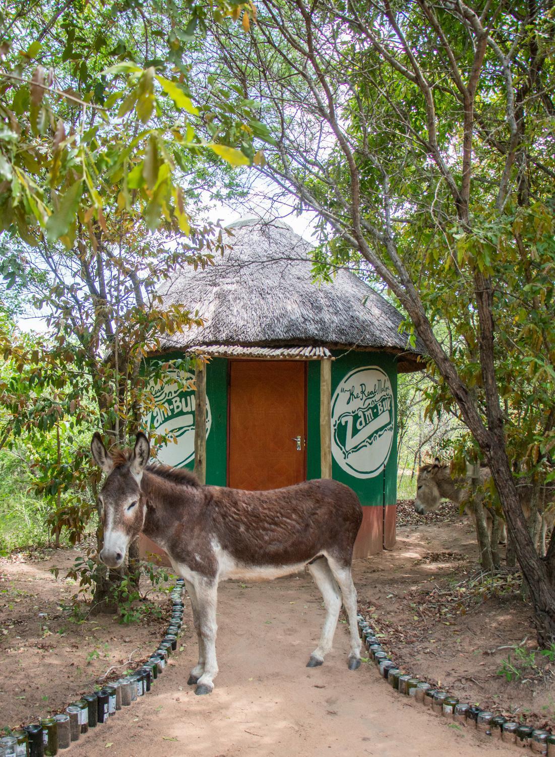 Shik Shack Backpackers Hotel Guernsey Nature Reserve Ngoại thất bức ảnh